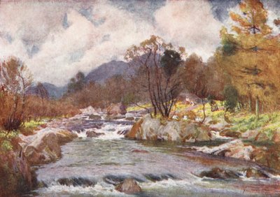 Lake District: Narcissen aan de oevers van de Silvery Duddon door Alfred Heaton Cooper