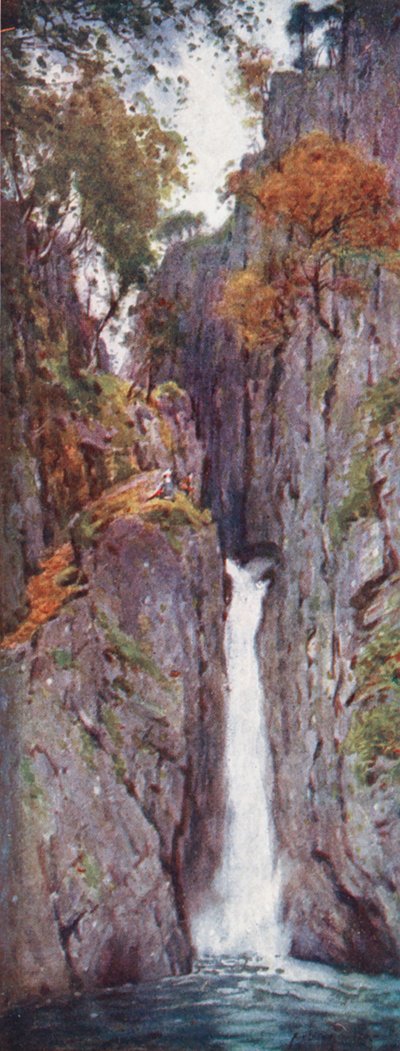 Lake District: Dalegarth Force, Eskdale door Alfred Heaton Cooper