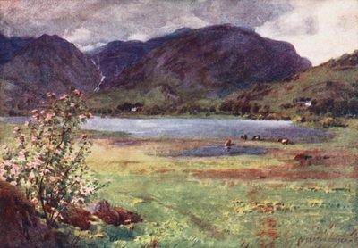 Lake District: Little Langdale Tarn door Alfred Heaton Cooper