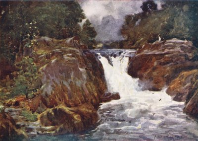 Lake District: Skelwith Force, Langdale door Alfred Heaton Cooper