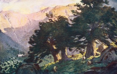 Lake District: De Borrowdale Yews, avond door Alfred Heaton Cooper