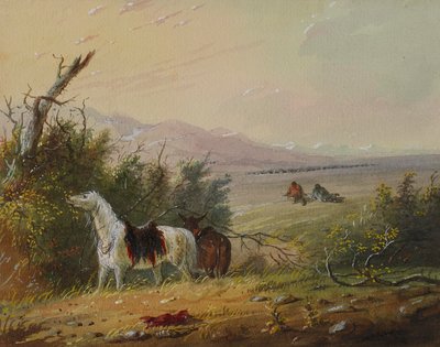  door Alfred Jacob Miller