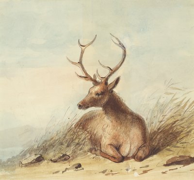 Elk, Rocky Mountains, ca. 1837 door Alfred Jacob Miller