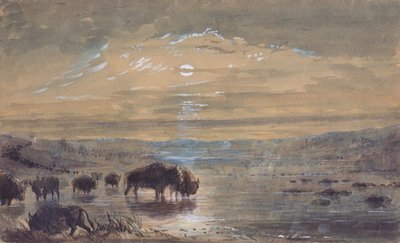 Nachtelijke scène, buffels op de prairie, ca. 1837 door Alfred Jacob Miller