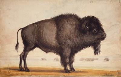 De bries ruiken, ca. 1837 door Alfred Jacob Miller
