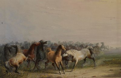  door Alfred Jacob Miller