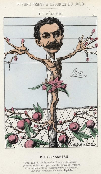 De Perzikboom: Cartoon over Steenackers - ill. van 30/01/1871 in 