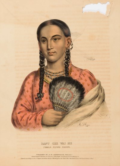 RANT CHE WAI ME. VROUWELIJKE VLIEGENDE DUIVEN, uit de Geschiedenis van de Indianenstammen van Noord-Amerika door Alfred M. Hoffy