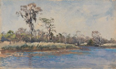 Een kreek bij Wilmington, N.C. door Alfred Parsons