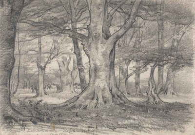 Een boslandschap bij Boldrewood door Alfred Parsons