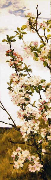 Appelbloesem door Alfred Parsons