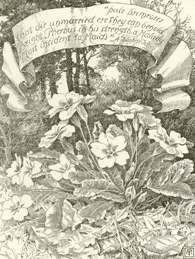 Bleke Sleutelbloemen door Alfred Parsons
