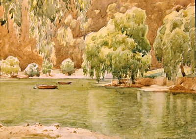Naini Tal door Alfred Priest