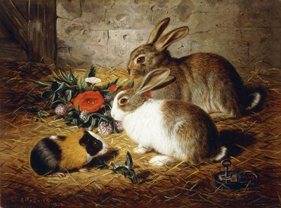Ontsnapt: Twee konijnen en een cavia door Alfred R. Barber