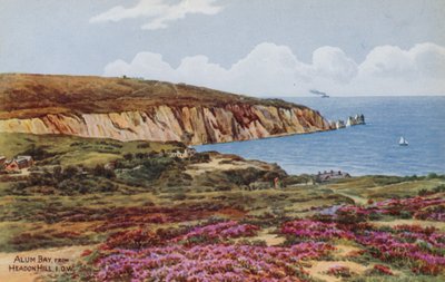 Alum Bay, vanaf Headon Hill, IOW door Alfred Robert Quinton