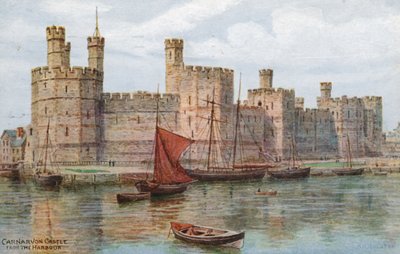 Kasteel van Carnarvon, vanaf de haven door Alfred Robert Quinton