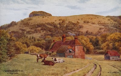 Chanctonbury Ring, Worthing door Alfred Robert Quinton