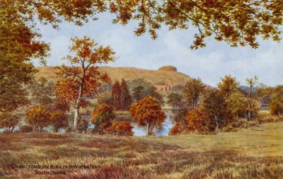 Chanctonbury Ring, vanaf Wiston Pond, South Downs door Alfred Robert Quinton