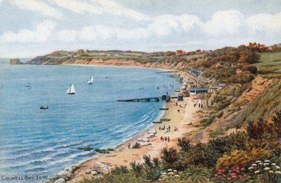 Colwell Bay, I O W door Alfred Robert Quinton
