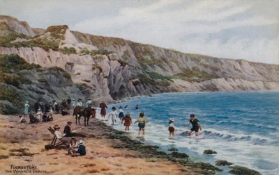 Folkestone, Het Warren Strand door Alfred Robert Quinton