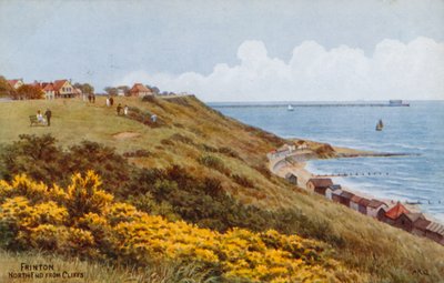 Frinton, Noordkant vanaf de Kliffen door Alfred Robert Quinton