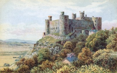 Kasteel Harlech door Alfred Robert Quinton