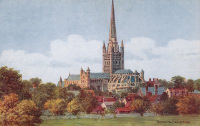 Kathedraal van Norwich door Alfred Robert Quinton