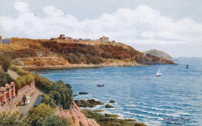 Pendennis Point, Falmouth door Alfred Robert Quinton