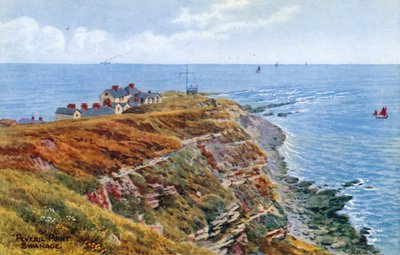 Peveril Point, Swanage door Alfred Robert Quinton