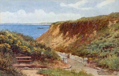 Portman Ravine, Southbourne door Alfred Robert Quinton