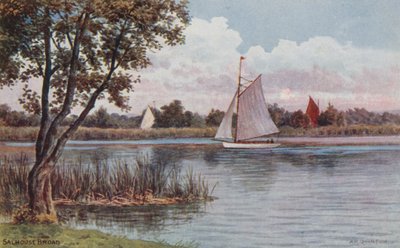 Salhouse Broad door Alfred Robert Quinton