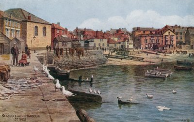Meeuwen in de haven, St Ives, Cornwall door Alfred Robert Quinton