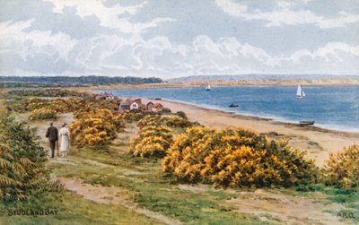 Studland Bay door Alfred Robert Quinton