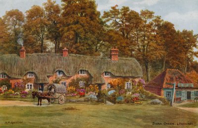 Swan Green, Lyndhurst door Alfred Robert Quinton