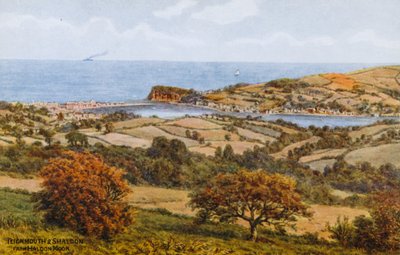 Teignmouth en Shaldon, vanaf Haldon Moor door Alfred Robert Quinton