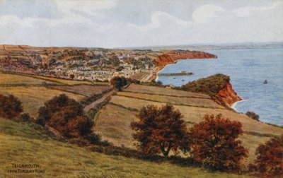 Teignmouth vanaf Torquay Road door Alfred Robert Quinton