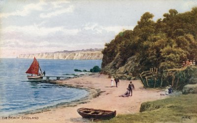 Het strand, Studland door Alfred Robert Quinton