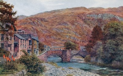 De Brug, Beddgellert door Alfred Robert Quinton