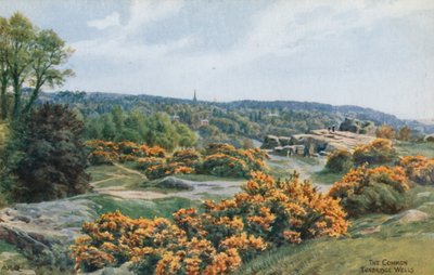 The Common, Tunbridge Wells door Alfred Robert Quinton