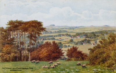 De Downs met Chantonbury Ring, bij Worthing door Alfred Robert Quinton