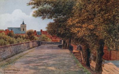 De oostelijke muren, Chichester door Alfred Robert Quinton