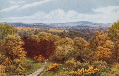De Gelukkige Vallei, Tunbridge Wells door Alfred Robert Quinton