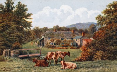 De Oude Molen, Lyme Regis door Alfred Robert Quinton