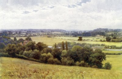 De Valei van Shiplake, vanaf Hennerton door Alfred Robert Quinton