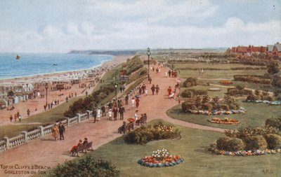 Top van Kliffen en Strand, Gorleston-on-Sea door Alfred Robert Quinton