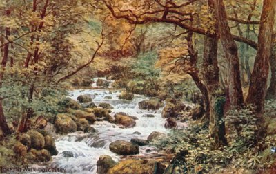 Torrent Walk, Dolgelley door Alfred Robert Quinton