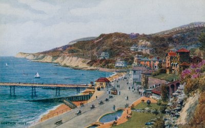 Ventnor, vanuit E door Alfred Robert Quinton