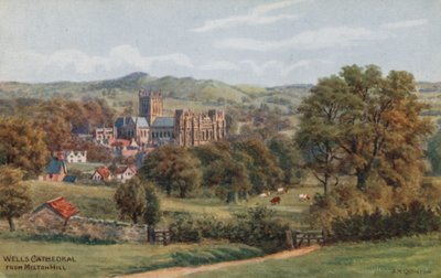 Wells Cathedral, vanaf Milton Hill door Alfred Robert Quinton