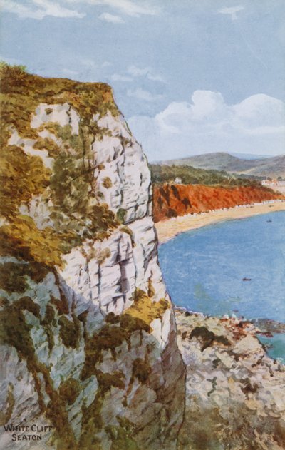 Witte klif, Seaton door Alfred Robert Quinton