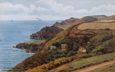 Woody Bay, vanaf Martinhoe Common door Alfred Robert Quinton